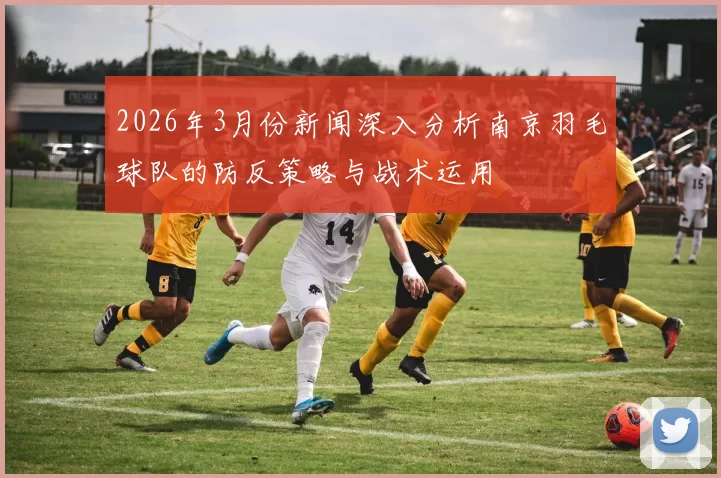 2026年3月份新闻深入分析南京羽毛球队的防反策略与战术运用